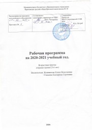 Рабочая программа старшая группа на 2020-2021 учебный год