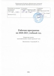 Рабочая программа. Подготовительная  группа. 2020-2021 учебный год