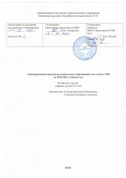 Рабочая программа для детей с ТНР старшая группа на 2020-2021 учебный год