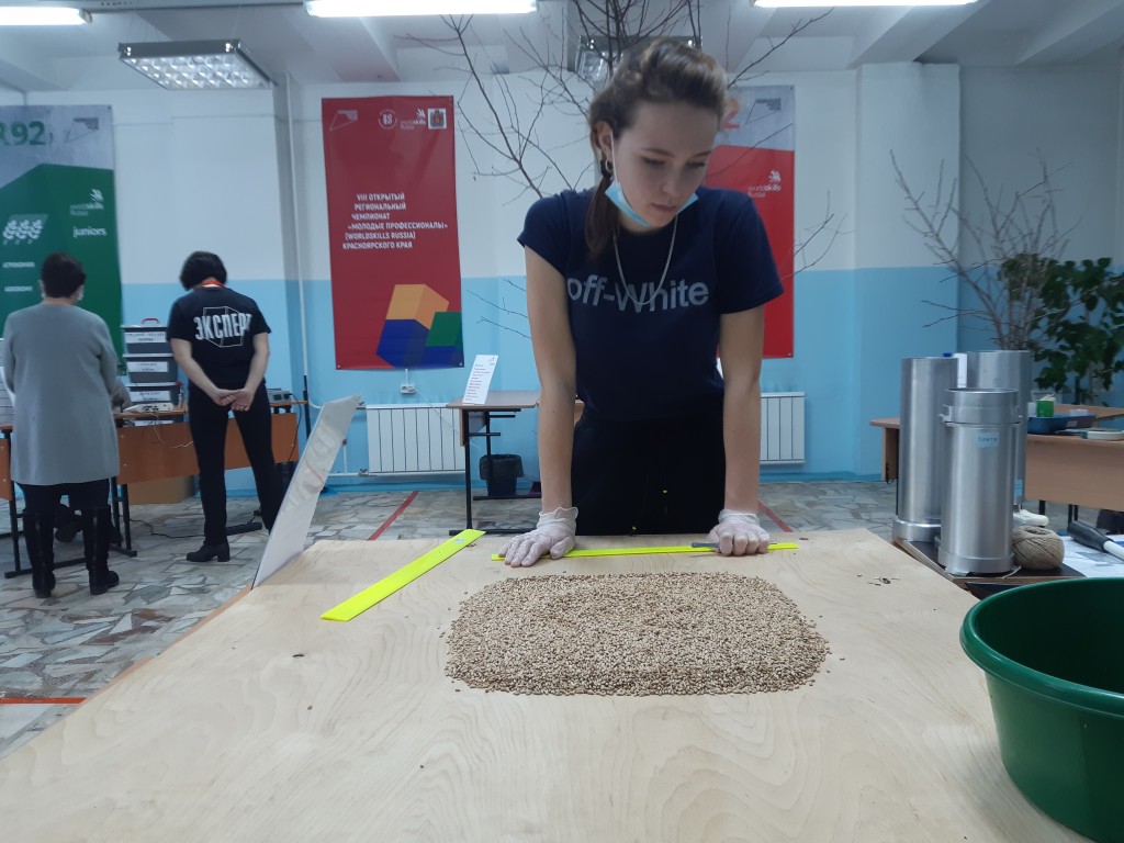 VIII Региональный чемпионат "Молодые профессионалы"  WorldSkills Russia 1