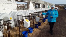 Оценка состояния молочного производства сельскохозяйственных предприятий 2022. Оценка состояния молочного производства сельскохозяйственных предприятий 2022.