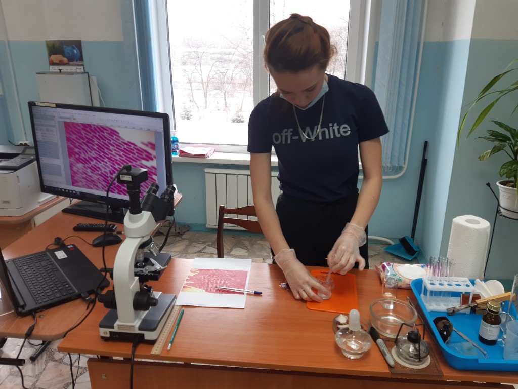 VIII Региональный чемпионат "Молодые профессионалы"  WorldSkills Russia 0