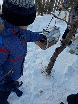 "Мы кормушку смастерили". 2