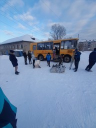 Отборочные соревнования по лыжным гонкам